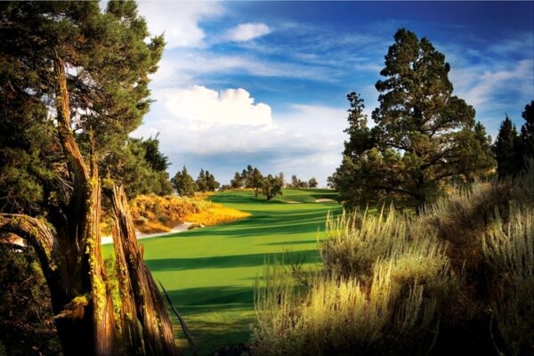 Pronghorn Jack Nicklaus Course