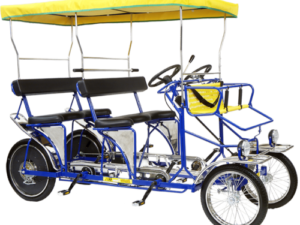 Double Surrey Bike