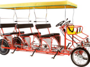 Triple Surrey Bike