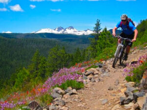 sprinter van vacation package with mountain bike