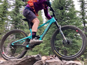 Full day bike tour