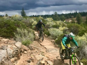 half day bike tour