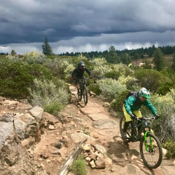 half day bike tour